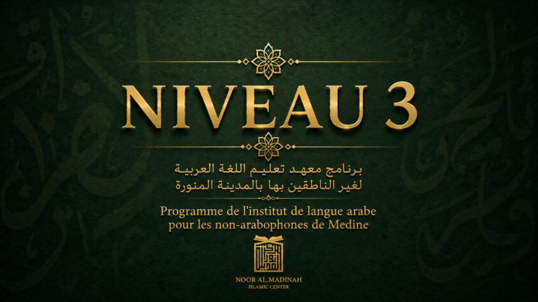 NIVEAU 3